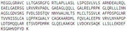 Recombinant Sepiapterin Reductase (SPR), RPU51230