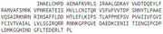 Recombinant Transmembrane Protein 27 (TMEM27), RPU51237