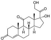 BSA Conjugated Cortisone (Cor), RPU51259