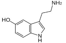 OVA Conjugated 5-Hydroxytryptamine (5-HT), RPU51263