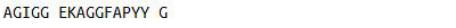 OVA Conjugated Cross Linked C-Telopeptide Of Type III Collagen (CTXIII), RPU51264