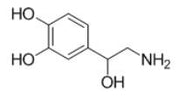BSA Conjugated Noradrenaline (NE), RPU51265
