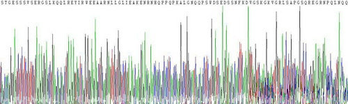 Recombinant Human Pro-Gastrin Releasing Peptide (ProGRP)