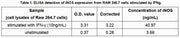 Effect of IFN-γ on the expression of iNOS was shown in Table 1.