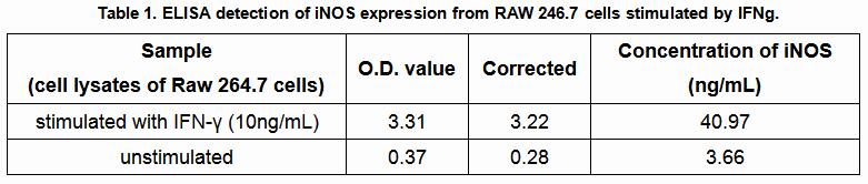 Effect of IFN-γ on the expression of iNOS was shown in Table 1.