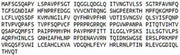Recombinant Galectin 9 (GAL9), RPU51349