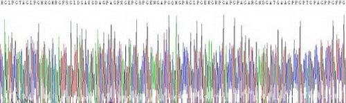 Recombinant Human Collagen Type I Alpha 1 (COL1a1)