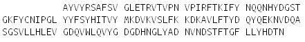 Recombinant Adiponectin (ADPN), RPU51353