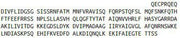 Recombinant Integrin Alpha X (CD11c), RPU51358