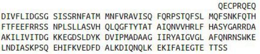 Recombinant Integrin Alpha X (CD11c), RPU51358