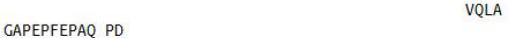OVA Conjugated Copeptin (CPP), RPU51413