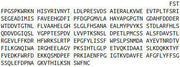 Recombinant Matrix Metalloproteinase 3 (MMP3), RPU51469