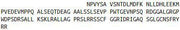 Recombinant Natriuretic Peptide Precursor A (NPPA), RPU51475