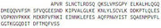 Recombinant Interleukin 1 Beta (IL1b), RPU51493