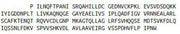 Recombinant Integrin Alpha V (ITGaV), RPU51516