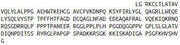 Recombinant Wiskott Aldrich Syndrome Protein (WASP), RPU51536