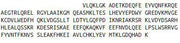 Recombinant Amphiphysin (AMPH), RPU51548