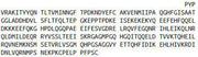 Recombinant Lectin, Mannose Binding 1 (LMAN1), RPU51560