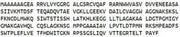 Recombinant Quinoid Dihydropteridine Reductase (QDPR), RPU51574