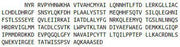 Recombinant Phosphodiesterase 10A (PDE10A), RPU51611