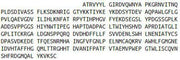 Recombinant Hephaestin (HEPH), RPU51626