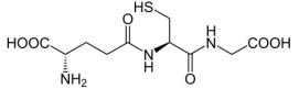 OVA Conjugated Glutathione (GSH), RPU51652