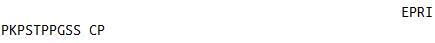 OVA Conjugated Immunoglobulin G3 (IgG3), RPU51654
