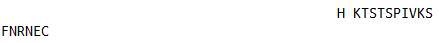 OVA Conjugated Immunoglobulin Kappa (Igk), RPU51657