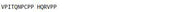 OVA Conjugated Immunoglobulin G2a (IgG2a), RPU51658