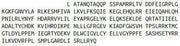Recombinant Aurora Kinase C (AURKC), RPU51701