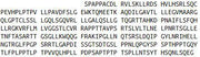 Recombinant Thrombopoietin (TPO), RPU51727