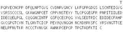 Recombinant Fibrillin 2 (FBN2), RPU51736