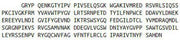 Recombinant Coagulation Factor XIII A1 Polypeptide (F13A1), RPU51757