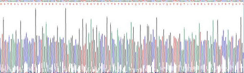Recombinant Mouse Apolipoprotein C4 (APOC4)