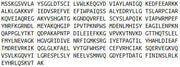 Recombinant Argininosuccinate Synthetase 1 (ASS1), RPU51793