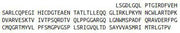 Recombinant Phosphoenolpyruvate Carboxykinase 2, Mitochondrial (PCK2), RPU51849