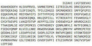 Recombinant Glutamate Receptor, Ionotropic, N-Methyl-D-Aspartate 2B (GRIN2B), RPU51867