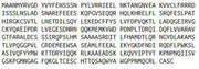 Recombinant Metastasis Associated Protein 2 (MTA2), RPU51877