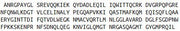 Recombinant Transgelin 2 (TAGLN2), RPU51880