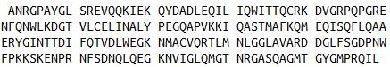 Recombinant Transgelin 2 (TAGLN2), RPU51880