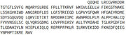 Recombinant Thymidylate Synthetase (TYMS), RPU51902