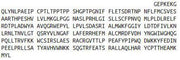 Recombinant Alpha-1,4-Galactosyltransferase (a4GALT), RPU51931
