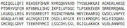 Recombinant Exonuclease 1 (EXO1), RPU51952