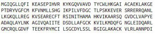 Recombinant Exonuclease 1 (EXO1), RPU51952