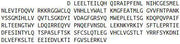 Recombinant N-Acetyltransferase 2 (NAT2), RPU51962