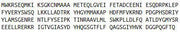 Recombinant Dipeptidyl Peptidase 8 (DPP8), RPU51977