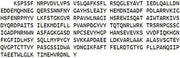 Recombinant Carboxypeptidase A4 (CPA4), RPU51979