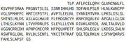 Recombinant Toll Like Receptor 9 (TLR9), RPU52016