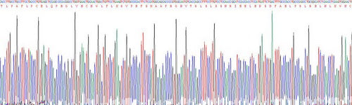 Recombinant Human Toll Like Receptor 9 (TLR9)
