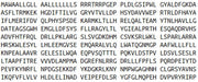 Recombinant Prostaglandin I Synthase (PTGIS), RPU52017